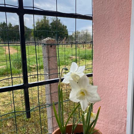 Apartament Le Bon Coin Périssac Zewnętrze zdjęcie